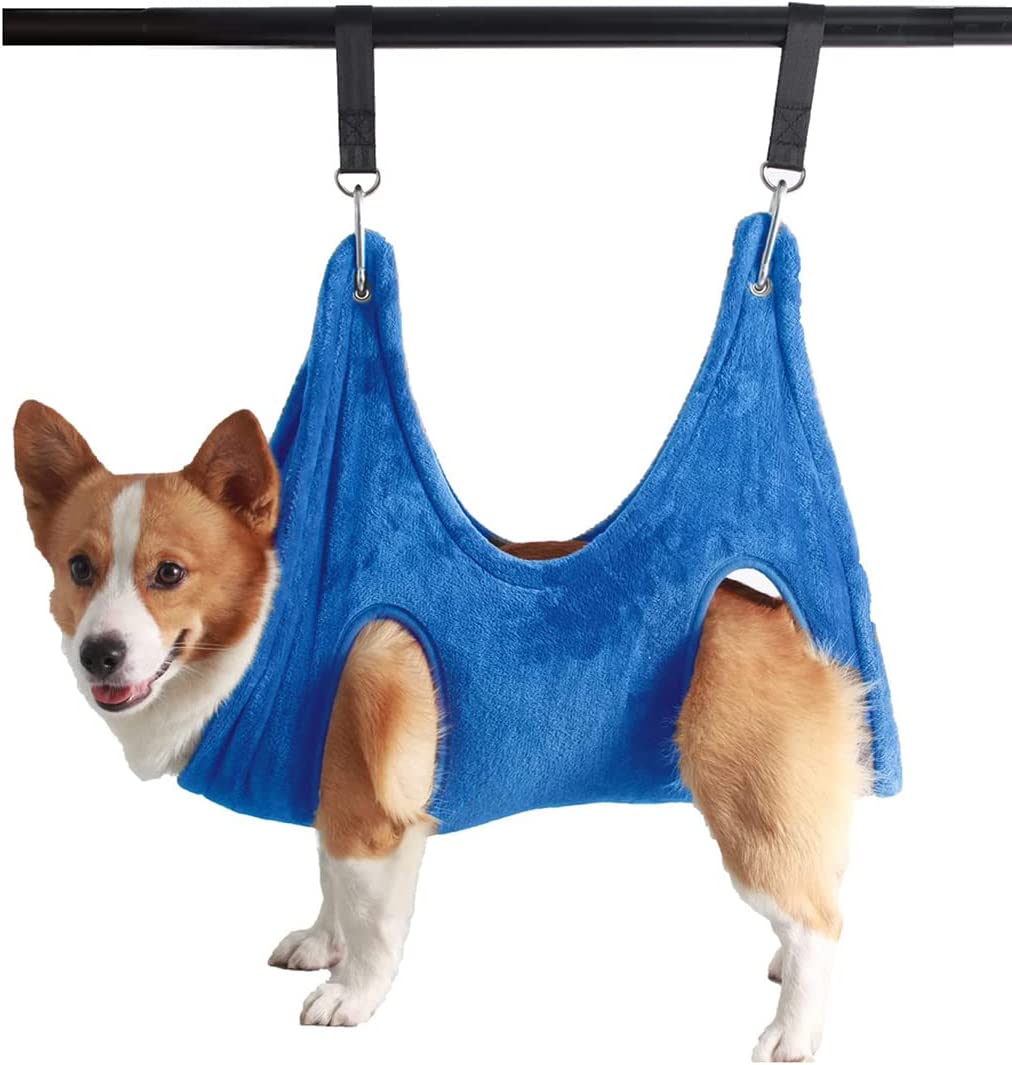 Dogs Harness Clean