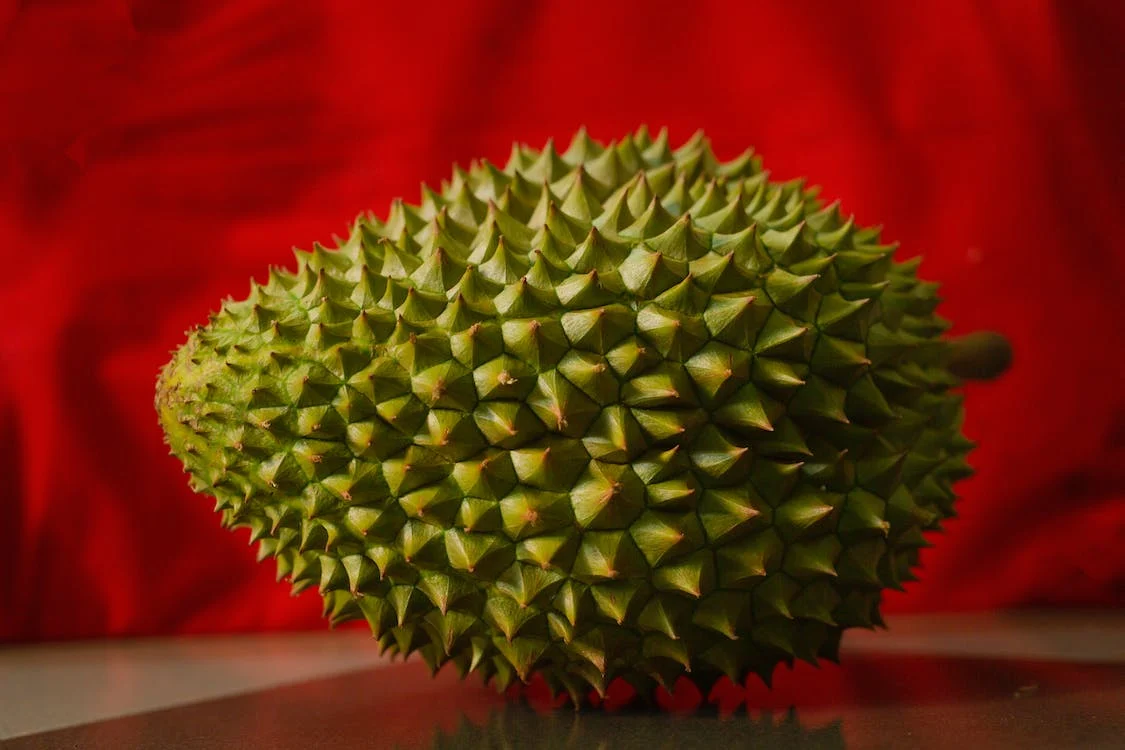 Kungfu Durian Different