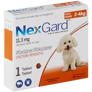 What Makes NexGard The Flea and Tick Solution for Your Pet