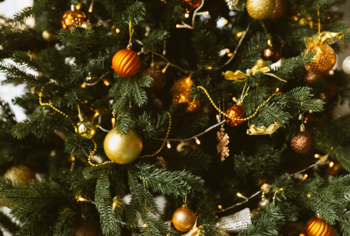 Best Personalised Christmas Ornaments to Enrich Your Decor