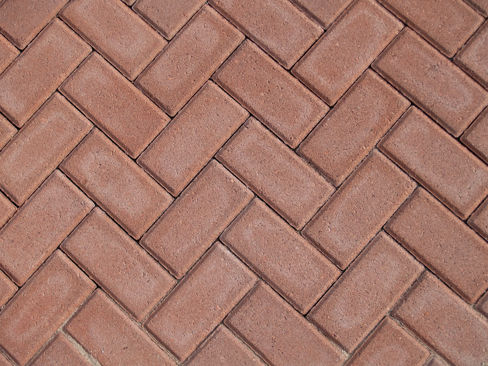 paver contractor