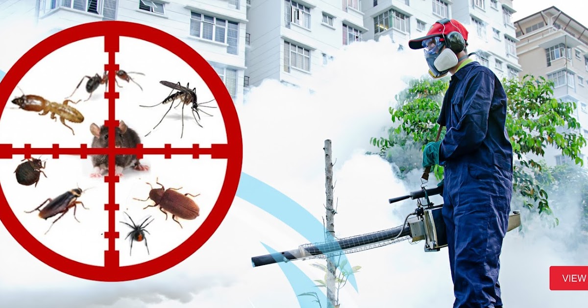 Battling Unwanted Guests: Unveiling the Secrets of SM Pest Control Ltd’s Exceptional Pest Control Service