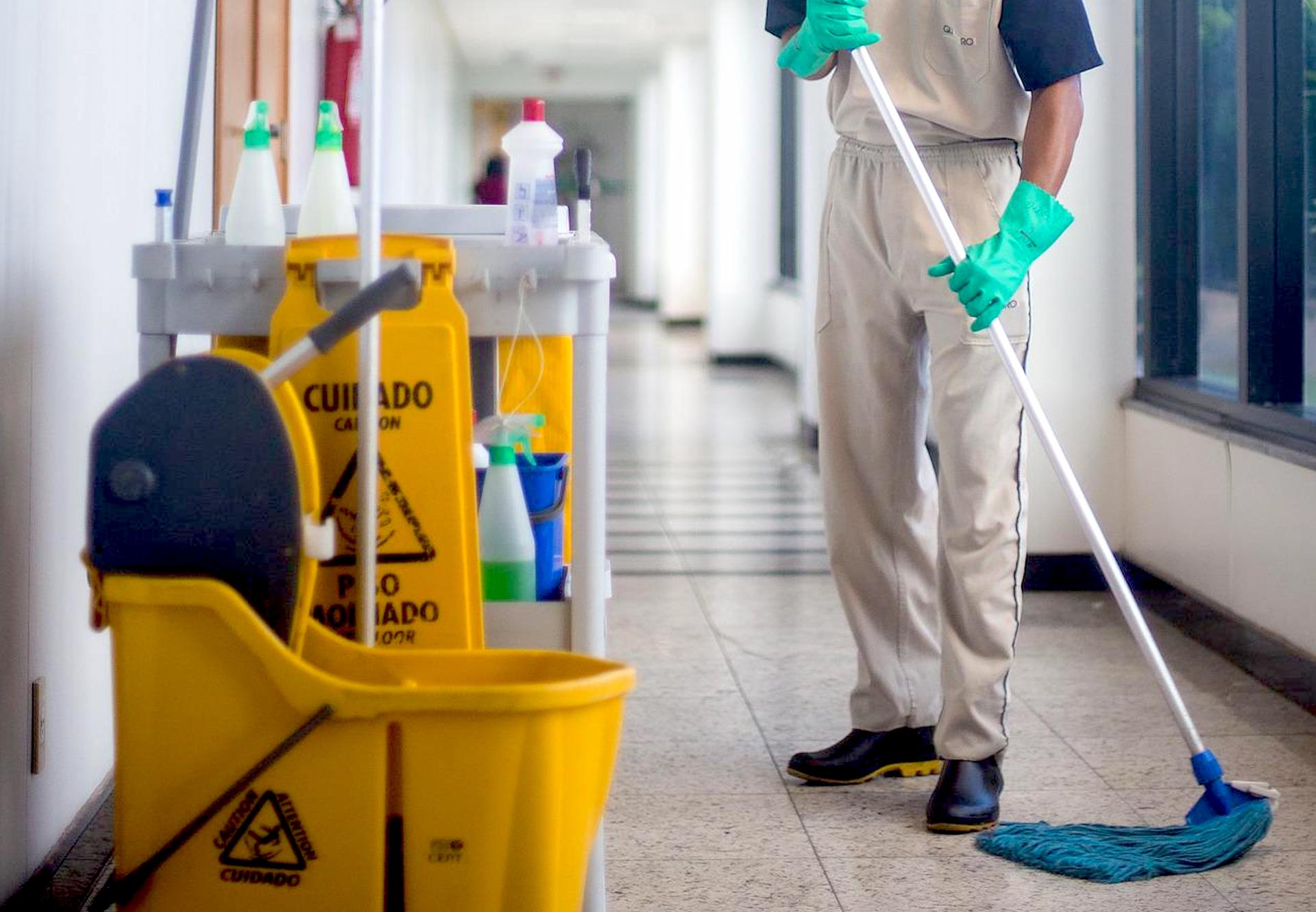 Shine Bright: Elevate Your Space with Bee Quality Services – Your Premier Cleaning Company in Leicester
