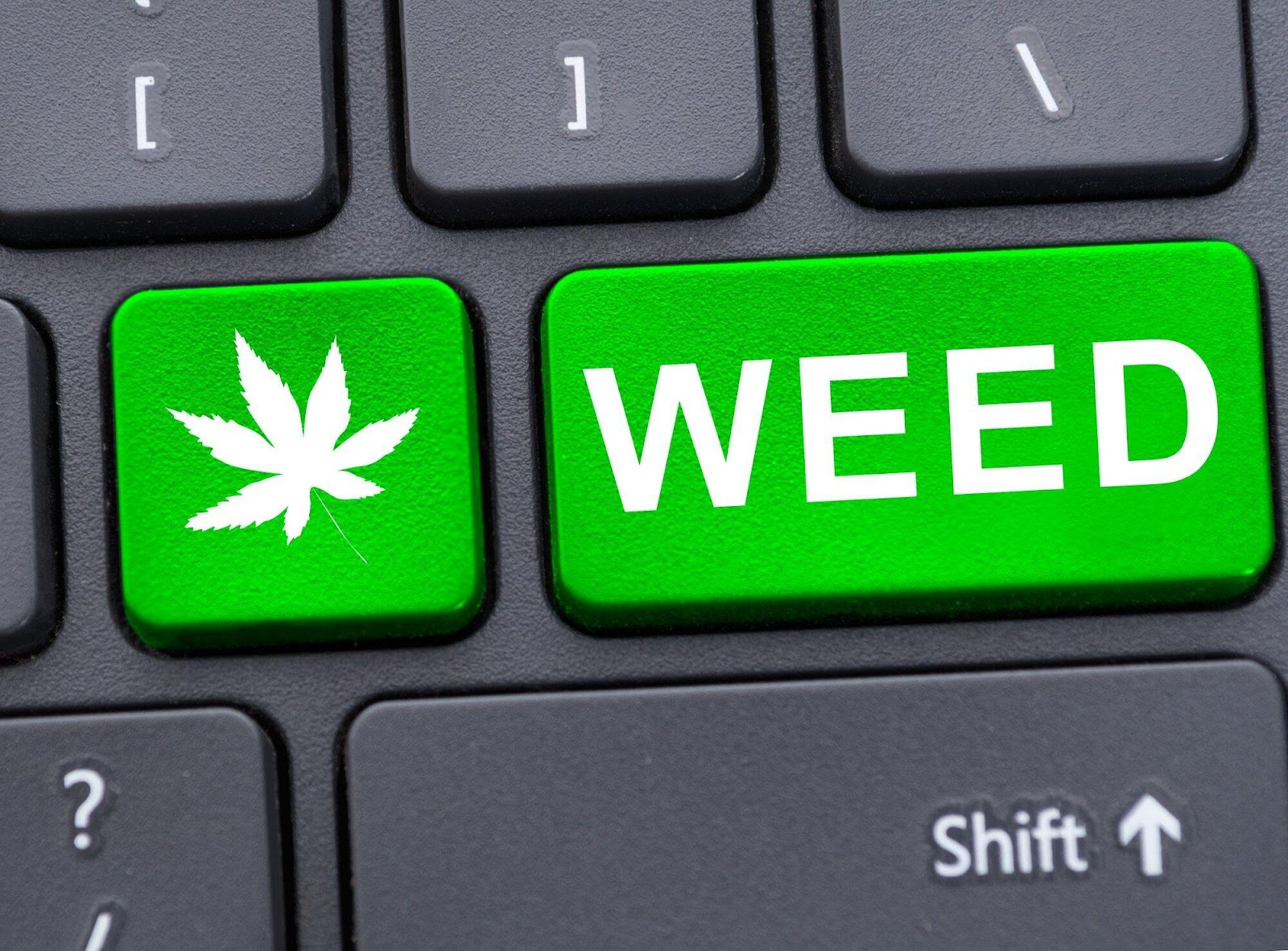 CBD Marketing 101: The Basics You Need to Know