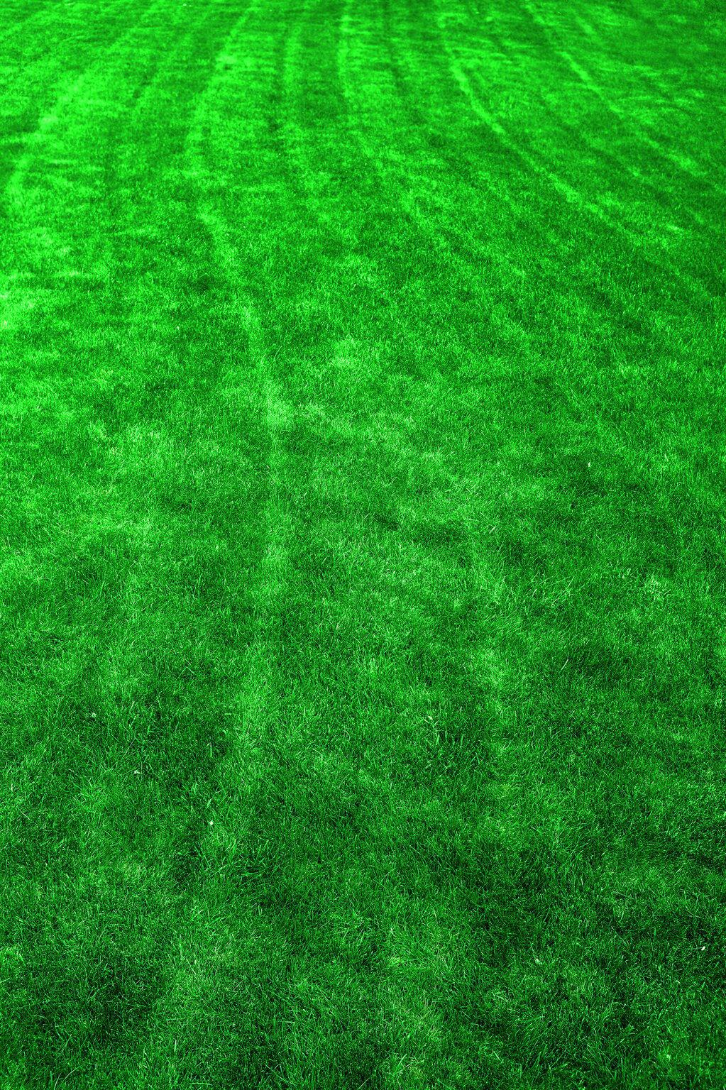 The Benefits of Investing in Affordable Lawn Care Services