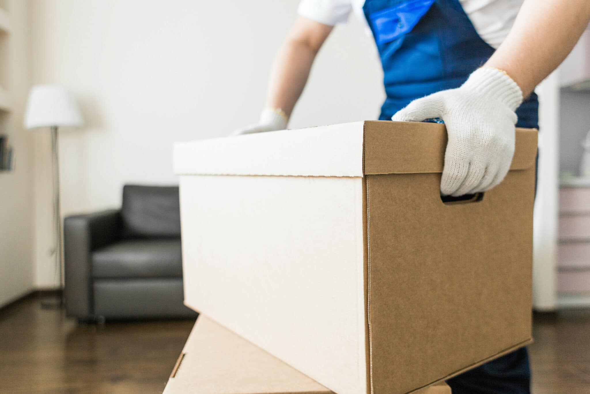 Plant Relocation: Ensuring a Smooth Transition