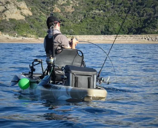 The All-in-One Reel: Perfect for Battling Big Game Fish and Trophy Catches