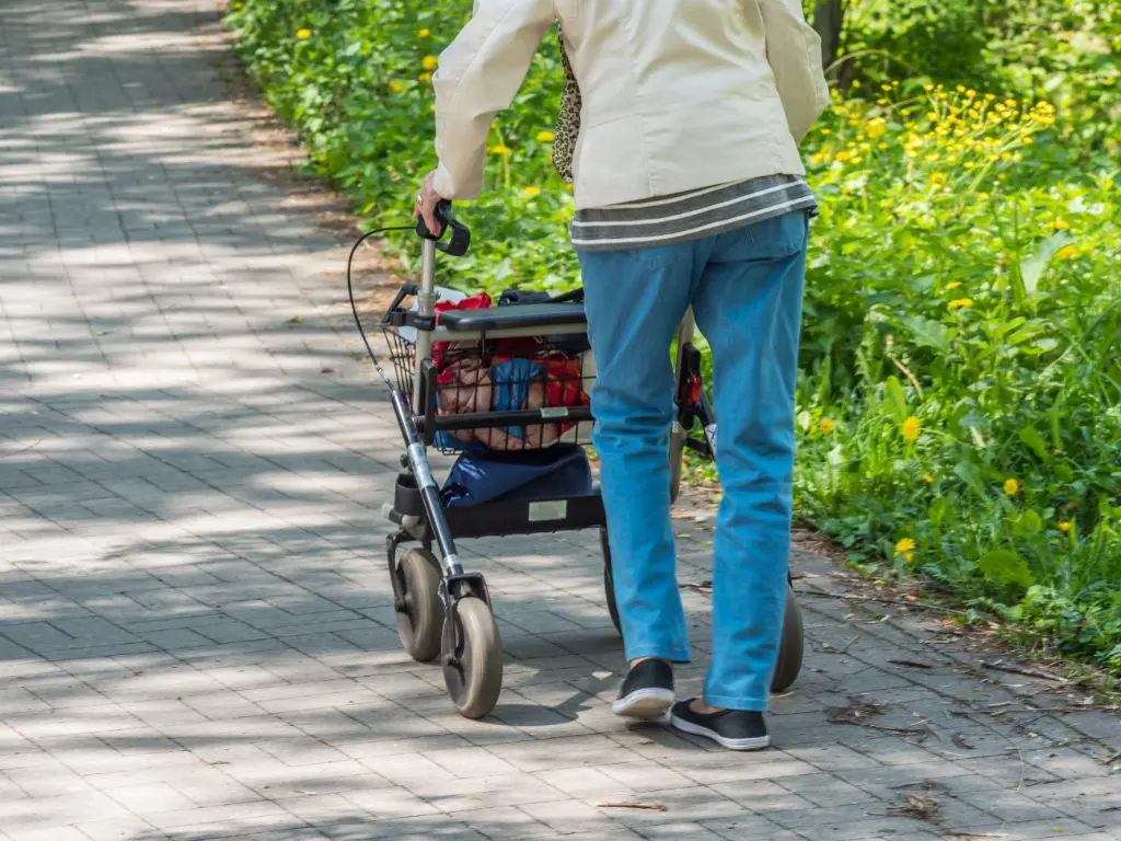 Exploring Various Walkers for Seniors To Improve Mobility and Independence