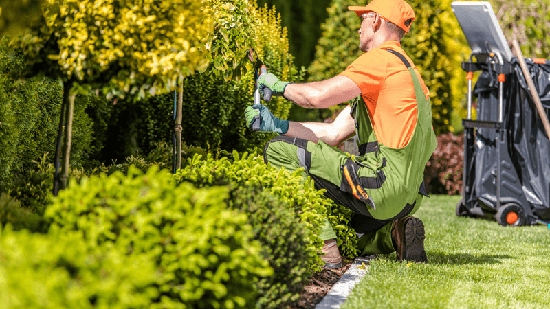 What Landscaping Companies near Me Use to Integrate Rain Gardens into Your Lawn to Reduce Run-off