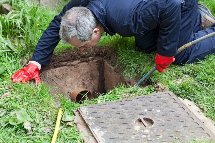 The Genesis of Groundwork: An Introduction to Drain Field Care