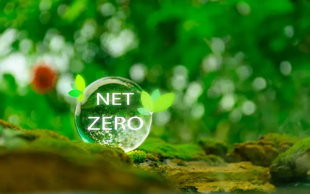 The Secret to Net-Zero Living: It Starts with Your Glass