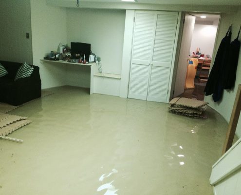 Flood Restoration Services in San Diego: Expert Guide