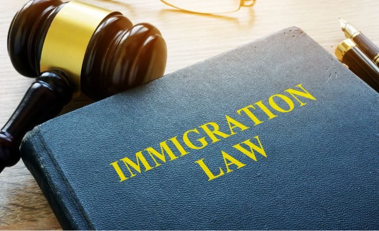 How Immigration Habeas Corpus Petitions Protect Against Indefinite Detention?