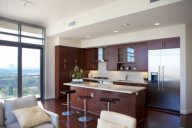 6 Kitchen Appliance Problems That Appliance Repair In Houston Can Fix Quickly