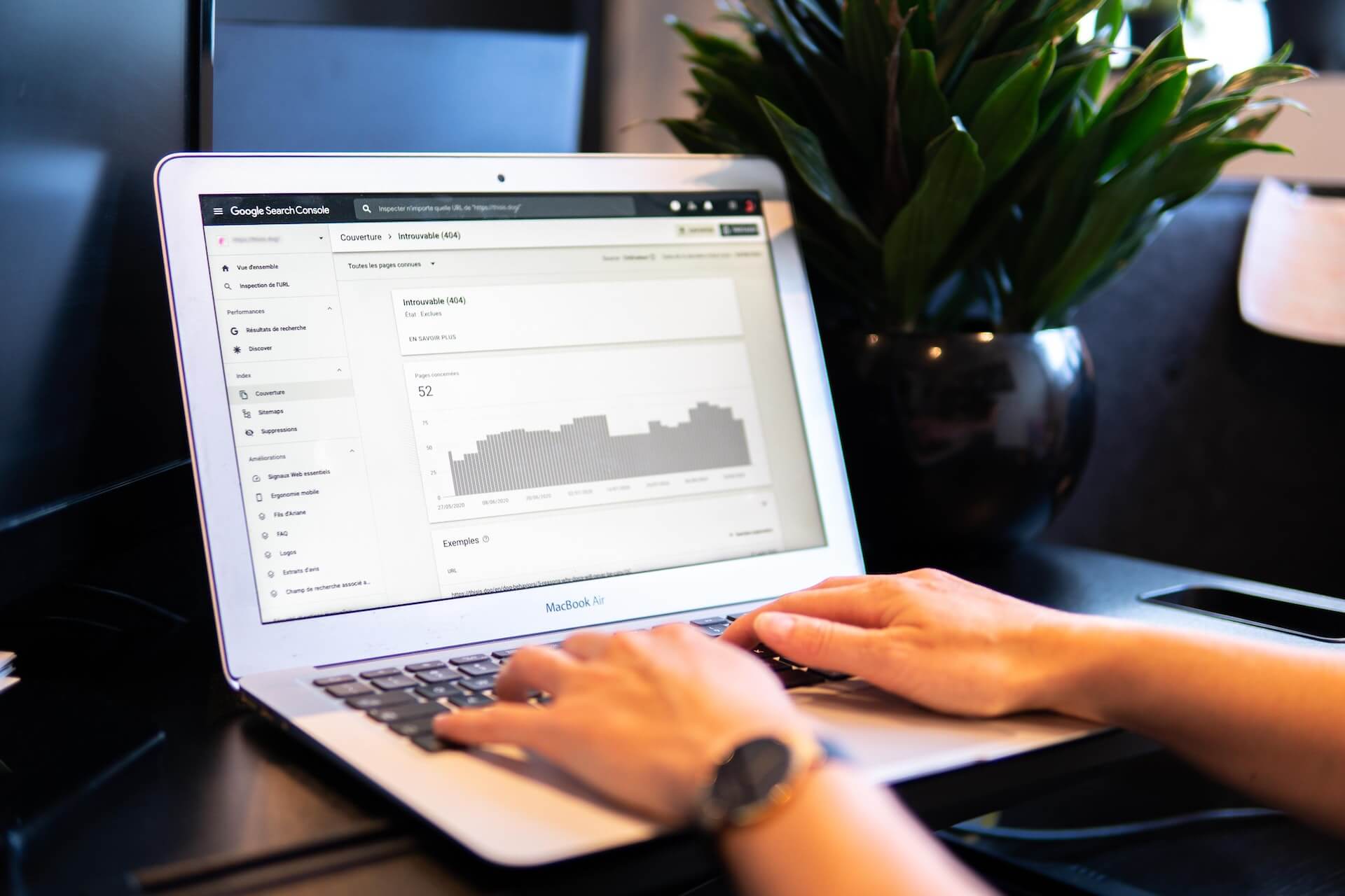 E-Commerce Consulting SEO Alienroad Digital Marketing Agency