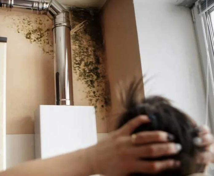 Mold Testing in Ormond Beach, Florida: Protecting Homes and Health in a Coastal Environment
