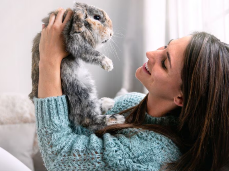 Online Pet Store Philippines Guide for Smarter Pet Care