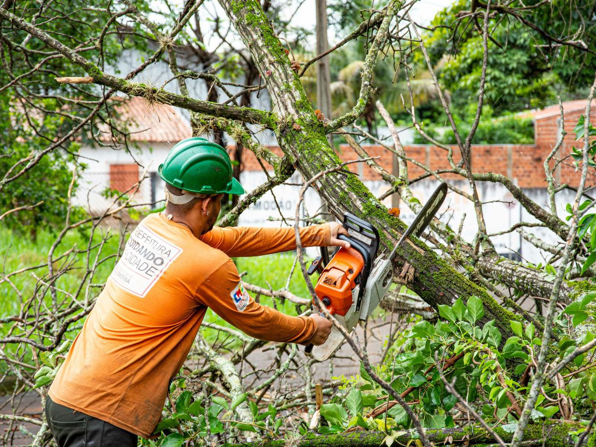 Tree Removal and Landscaping for Safer, Beautiful Properties