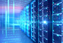 IT Education for a Changing Digital Economy: How to Choose the Right Training Path