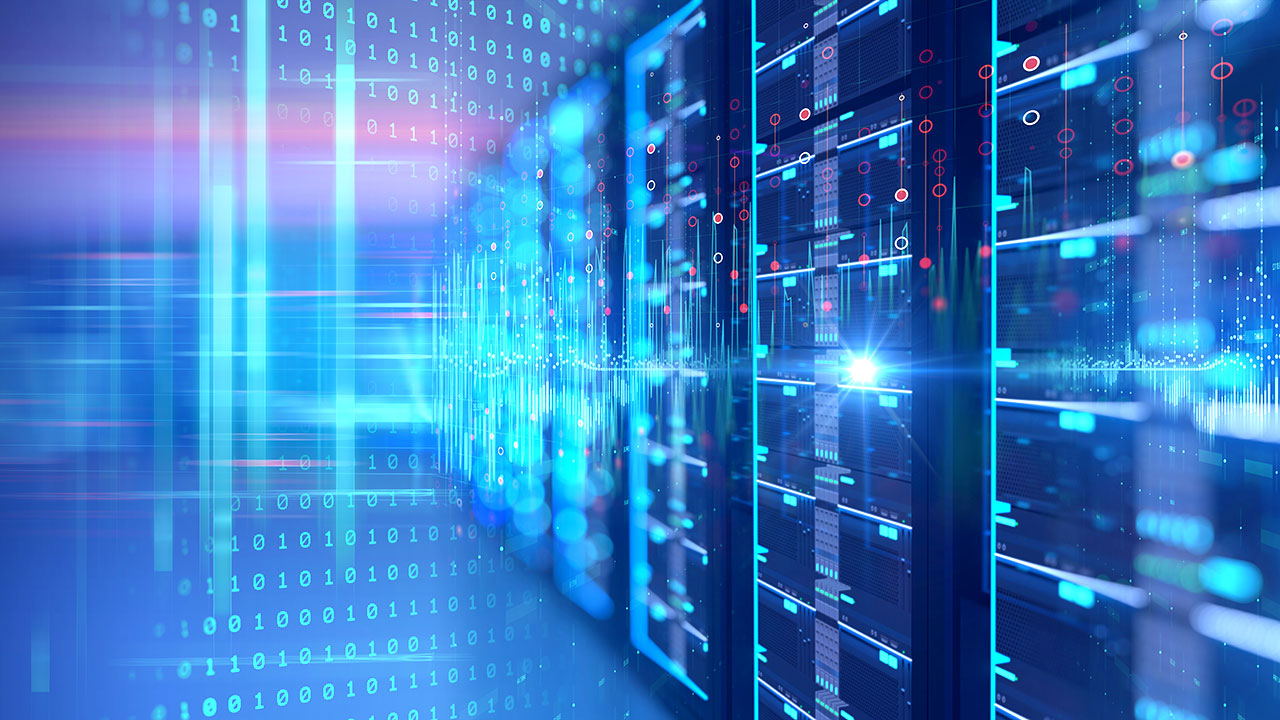 IT Education for a Changing Digital Economy: How to Choose the Right Training Path